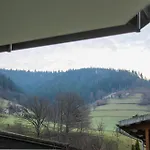 Apartman Sterzl Mit Terrasse Im *