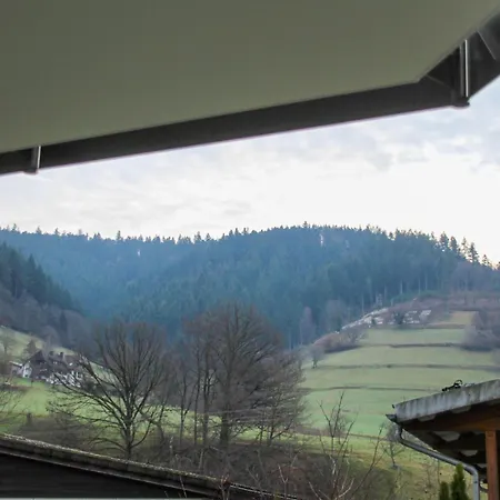 Apartman Sterzl Mit Terrasse Im *